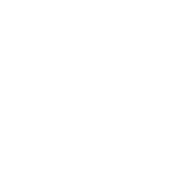 男女比（正社員）