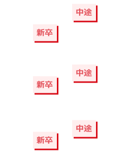 新卒・中途採用者の割合