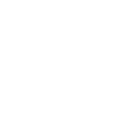 男女比（正社員）